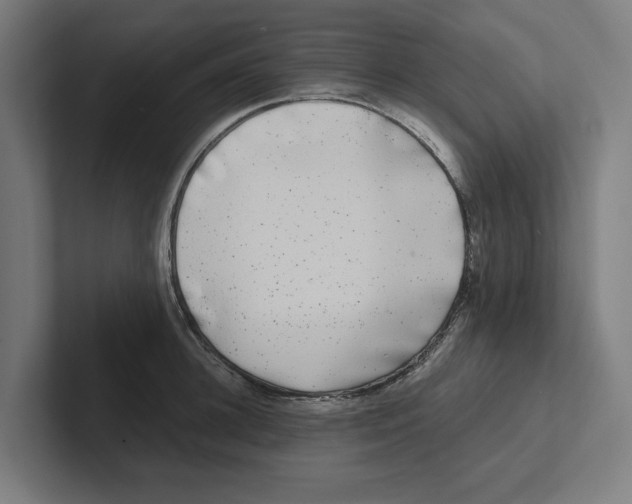 X0000102310948200808221443