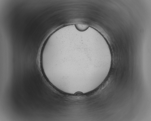 X0000102310949200808221443