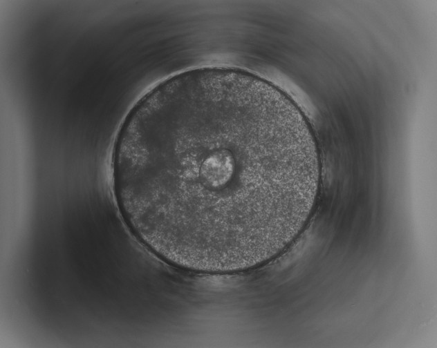 X0000102310950200808221443