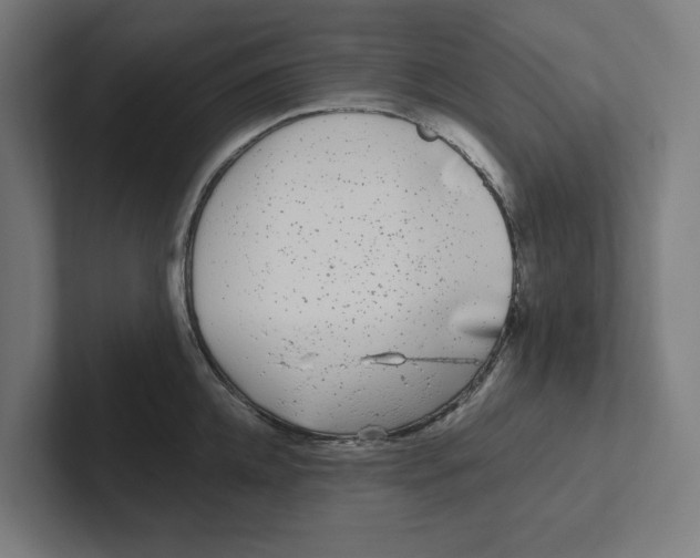 X0000102310952200808221443