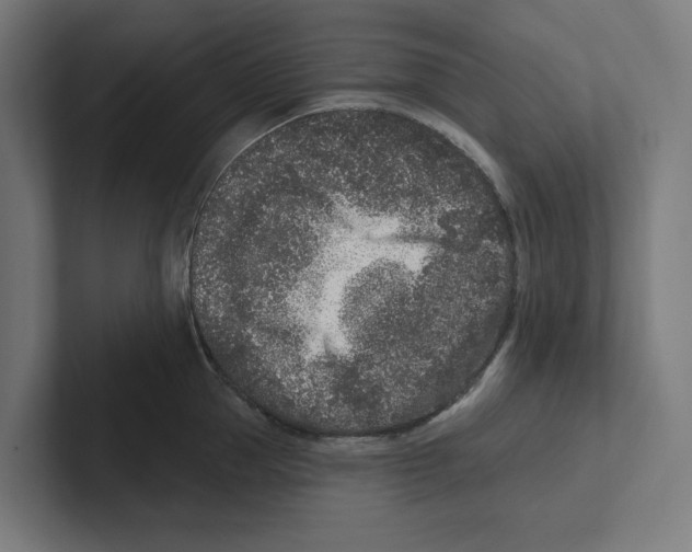 X0000102310953200808221444