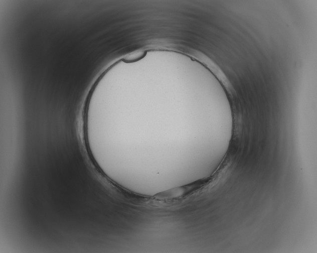 X0000102310955200808221444
