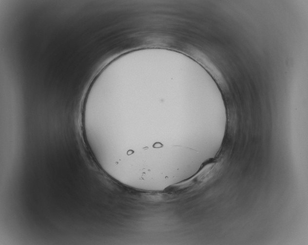 X0000102310956200808221444