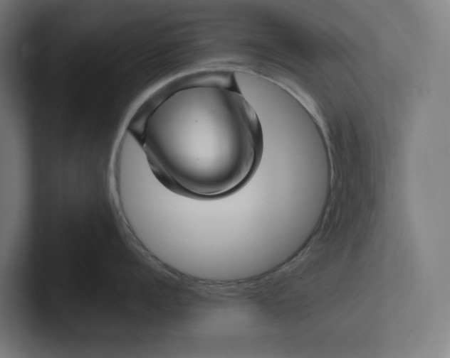 X0000102310960200808221444