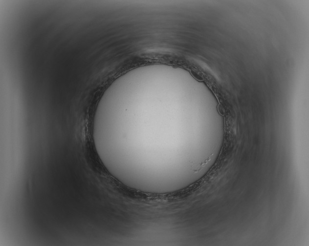 X0000102310965200808221443