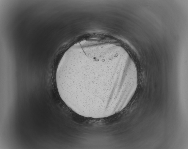 X0000102310967200808221443