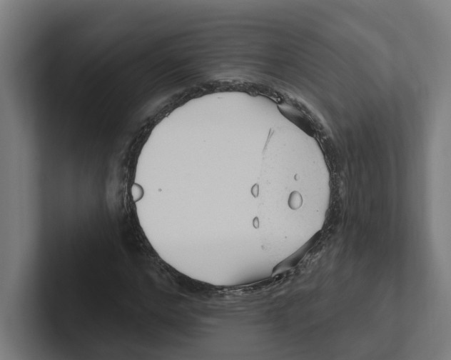 X0000102310968200808221443