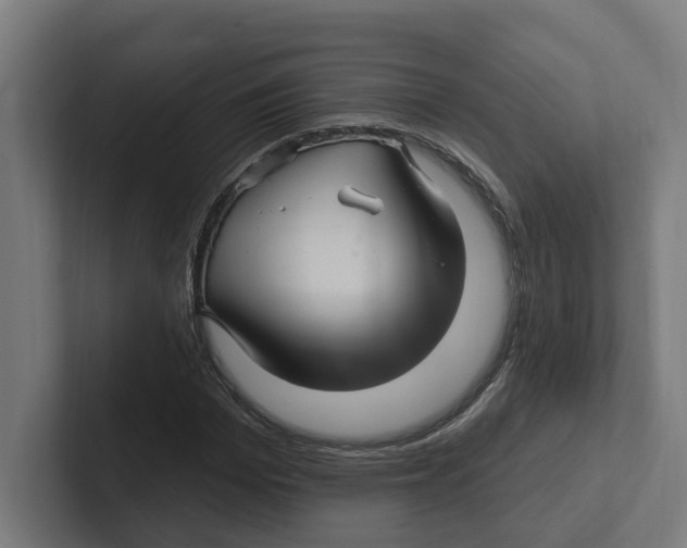 X0000102310969200808221443