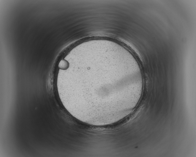 X0000102310971200808221443