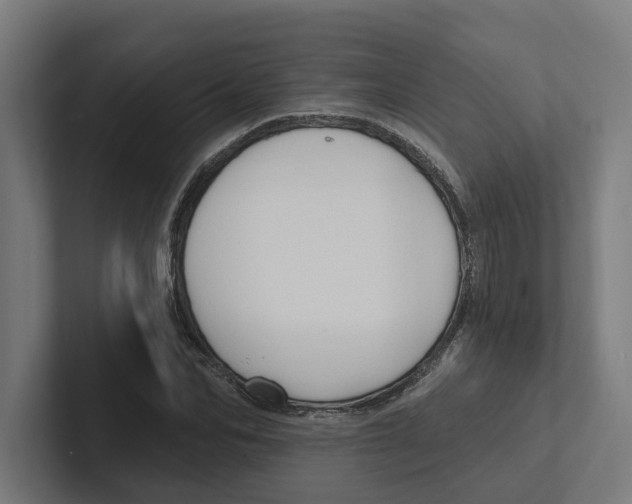 X0000102310974200808221443