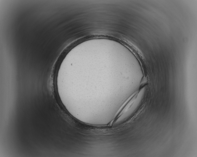X0000102310976200808221443