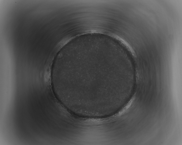 X0000102310977200808221443