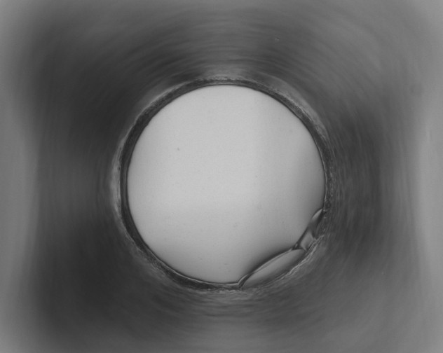 X0000102310984200808221443