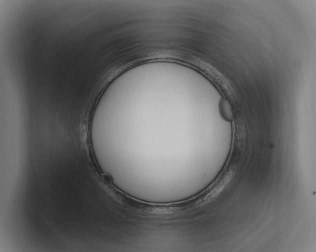 X0000102310985200808221443
