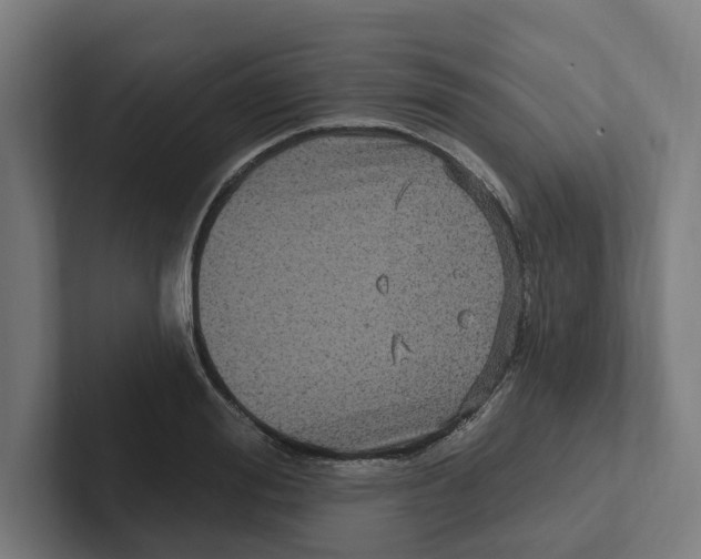 X0000102310988200808221443