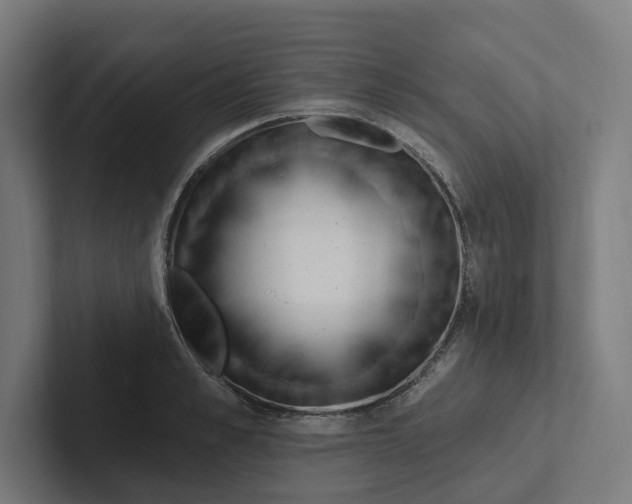 X0000102310989200808221443