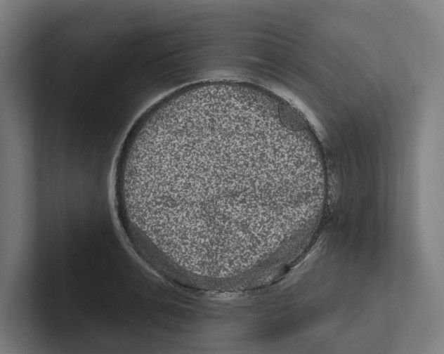X0000102310991200808221443