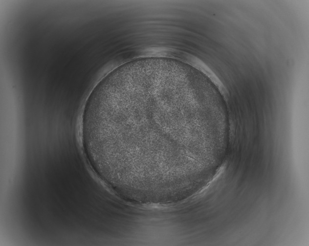X0000102310994200808221443