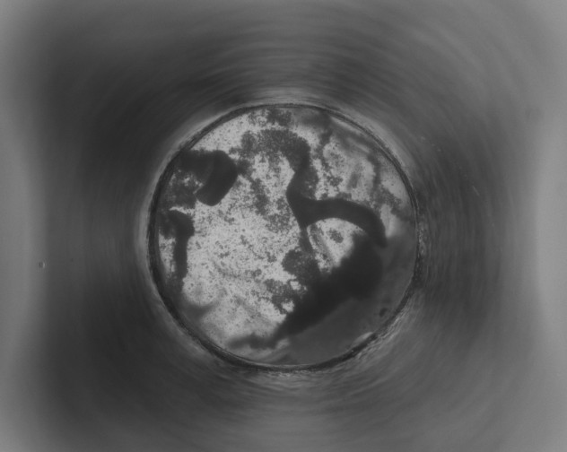 X0000102310995200808221442