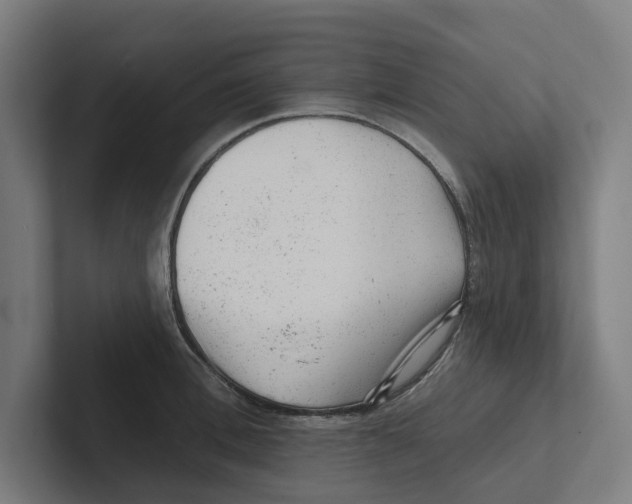 X0000102310996200808221442