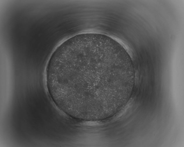 X0000102310998200808221442