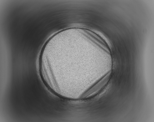X0000102310999200808221442