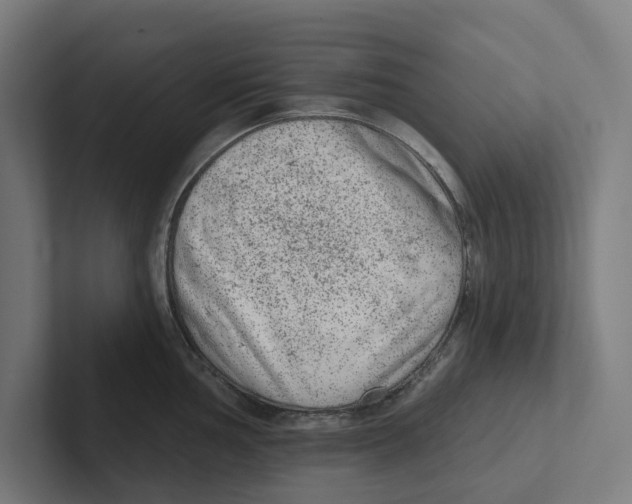 X0000102311002200808221442