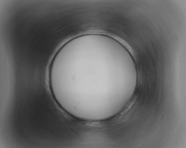 X0000102311006200808221442