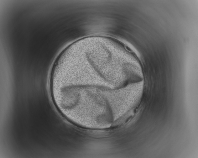 X0000102311007200808221442