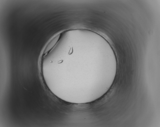 X0000102311008200808221442