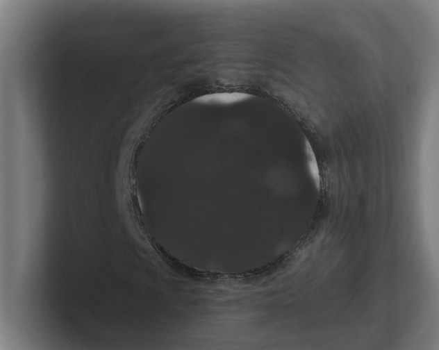 X0000102311009200808221442