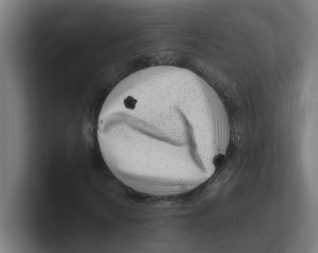 X0000102311010200808221442