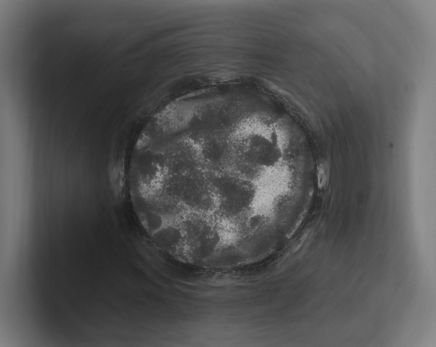 X0000102311011200808221442