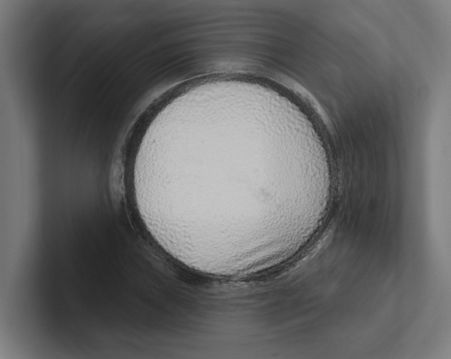 X0000102311019200808221442