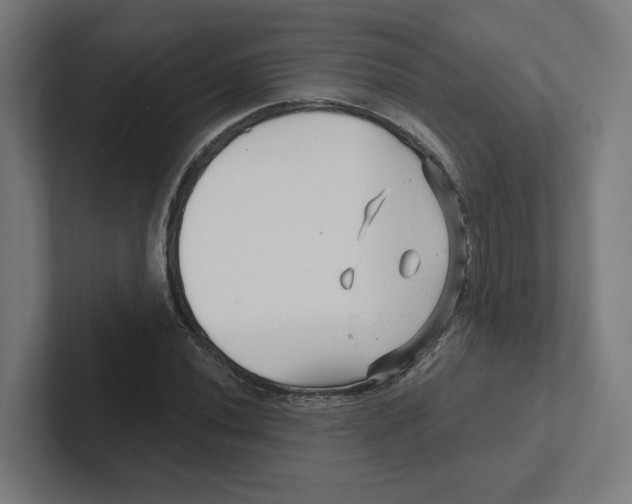 X0000102311020200808221442