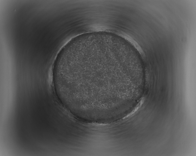 X0000102311023200808221442