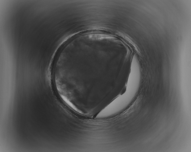 X0000102311024200808221442