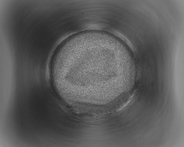 X0000102311027200808221442