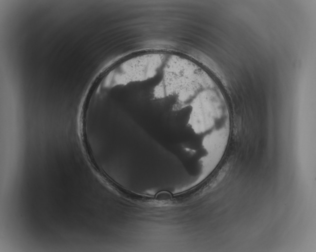 X0000102311037200808221442
