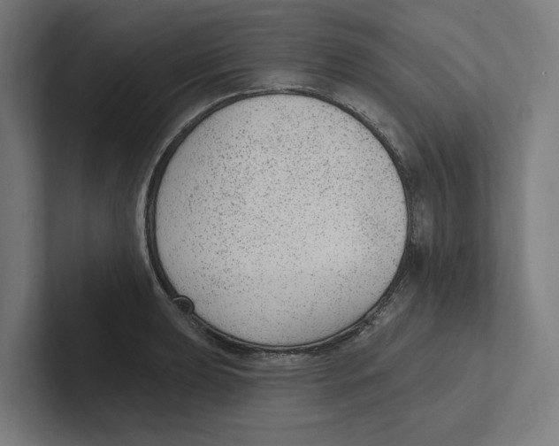 X0000102311039200808221442