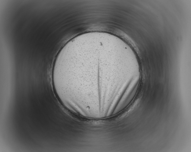 X0000102311041200808221442