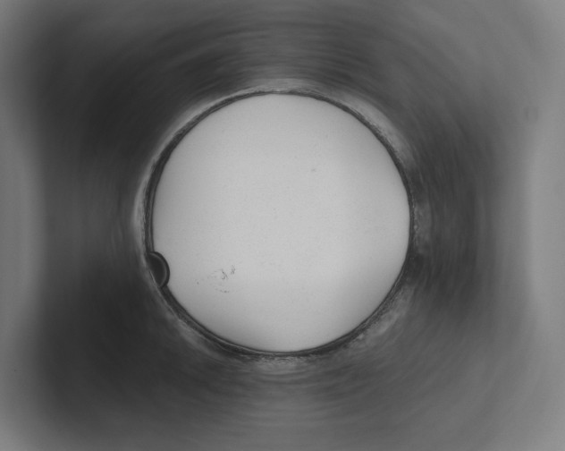 X0000102311046200808221442