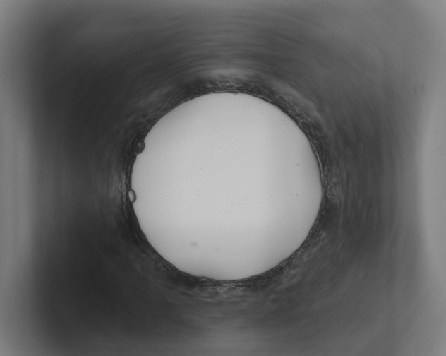 X0000102311061200808221442
