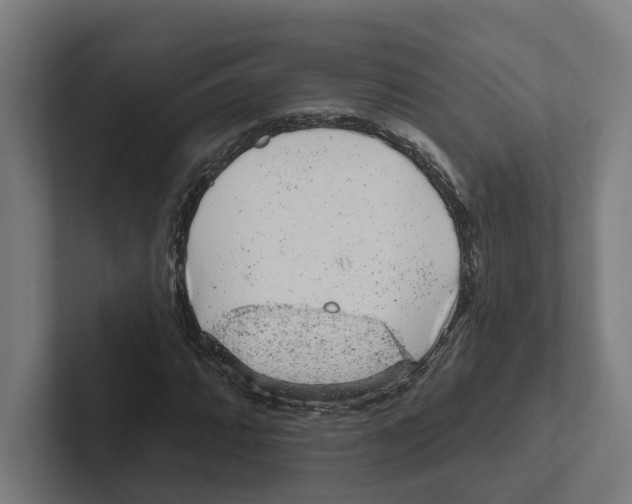 X0000102311064200808221442