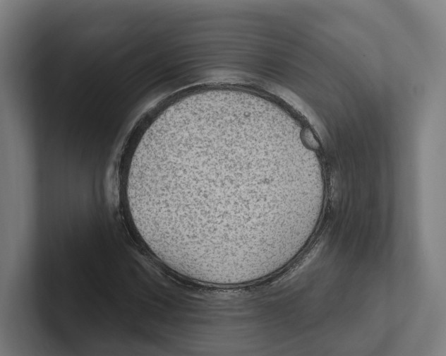 X0000102311067200808221442