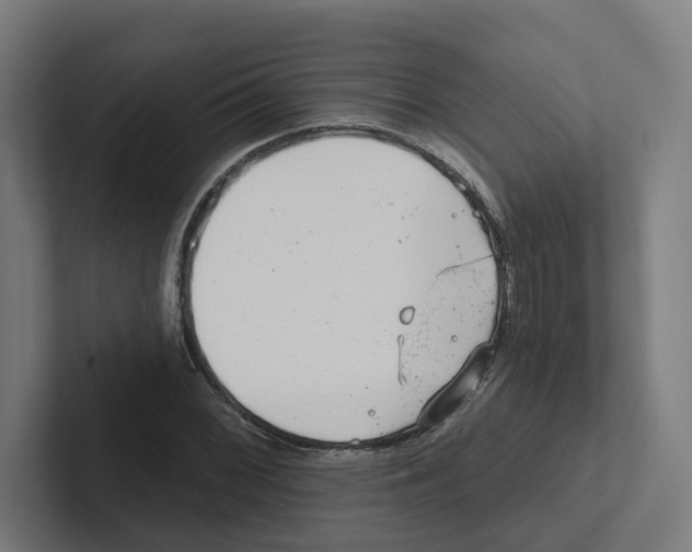 X0000102311068200808221442