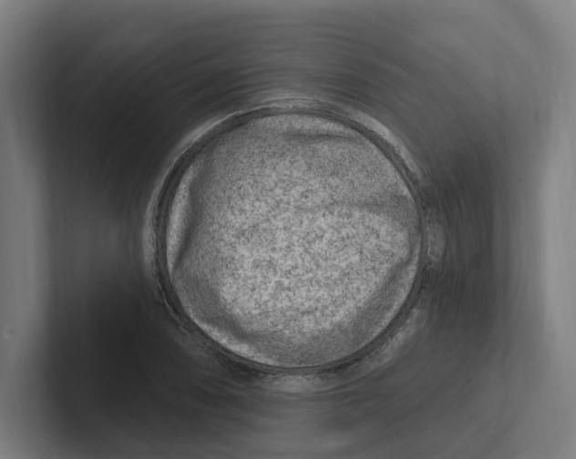 X0000102311074200808221441