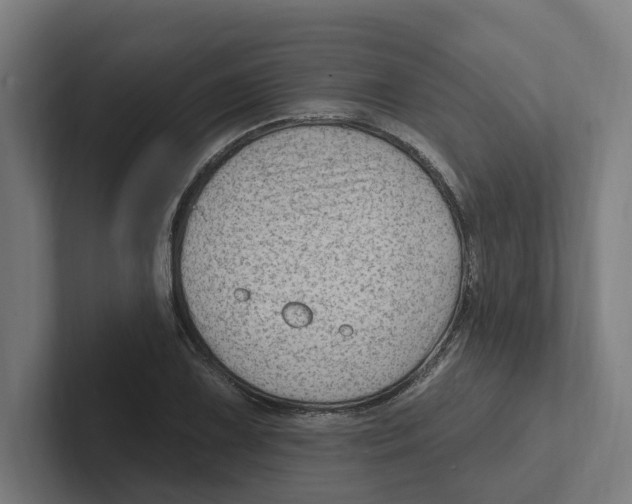 X0000102311075200808221441