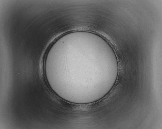 X0000102311078200808221441