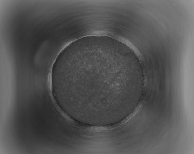 X0000102311079200808221441